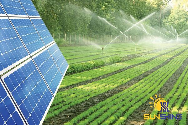 Specifications of solar water